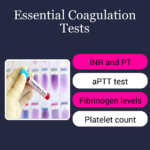 Understanding Coagulation Profile Tests: What Are They and Why Are They ...